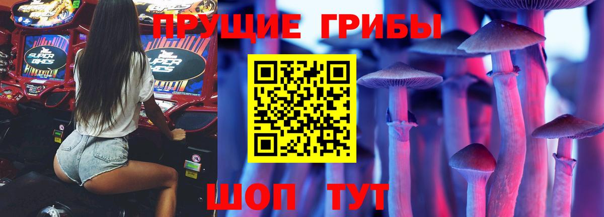 Псилоцибиновые грибы мицелий  Вход с VPN  Ипатово 